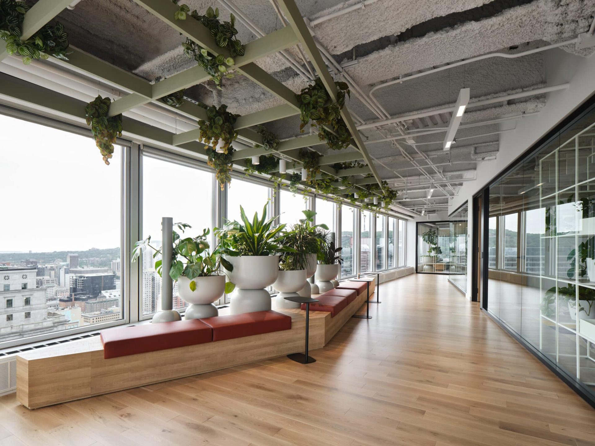 TechoLED BX-3L direct linear LED pendant fixture in modern office. White option.