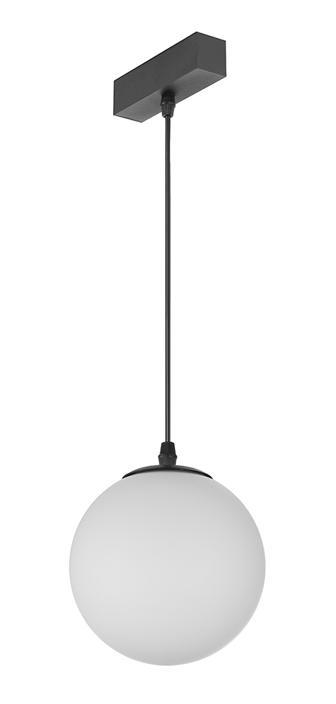 TechoLED Magnetic Track System - Pendant Module - Globe LED luminaire - Black Option